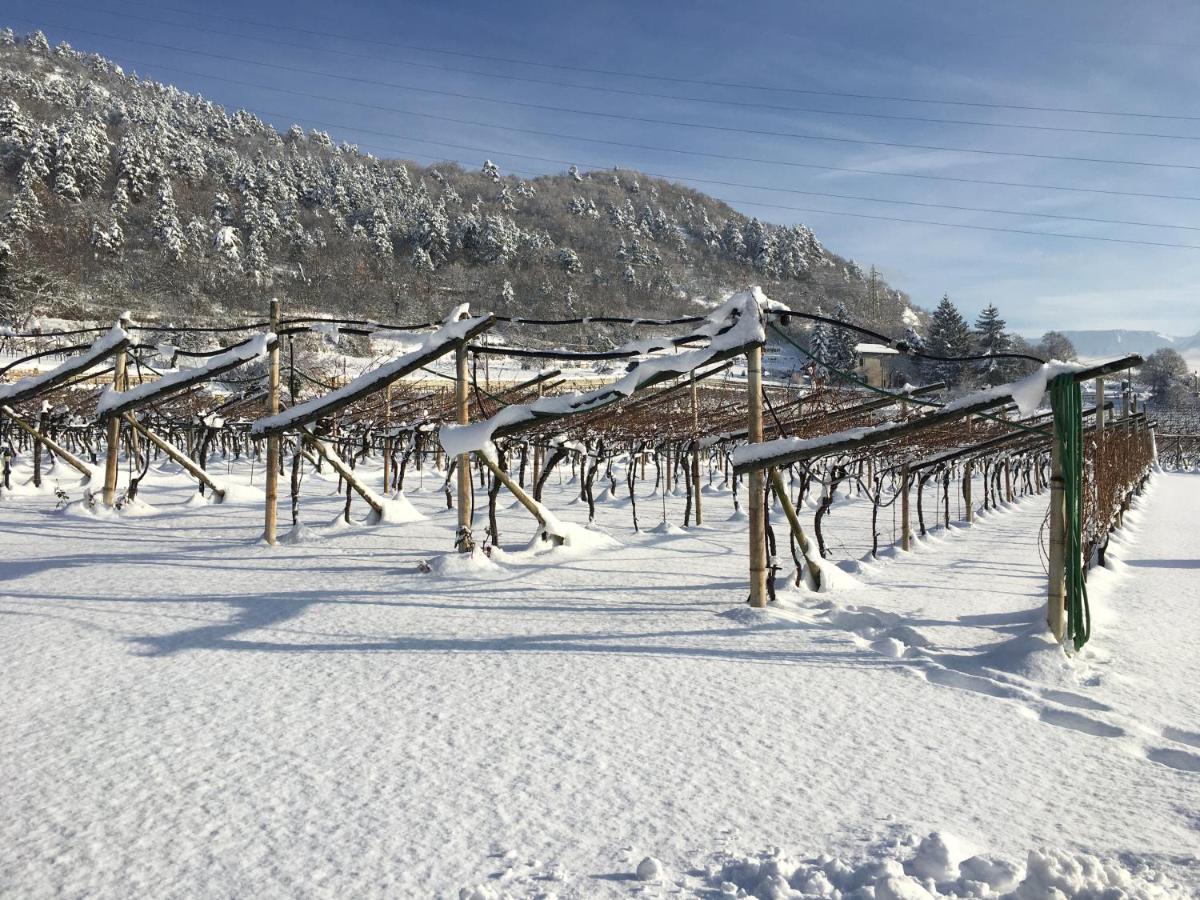 B&B Marina “La Casa in Collina” Trento Esterno foto