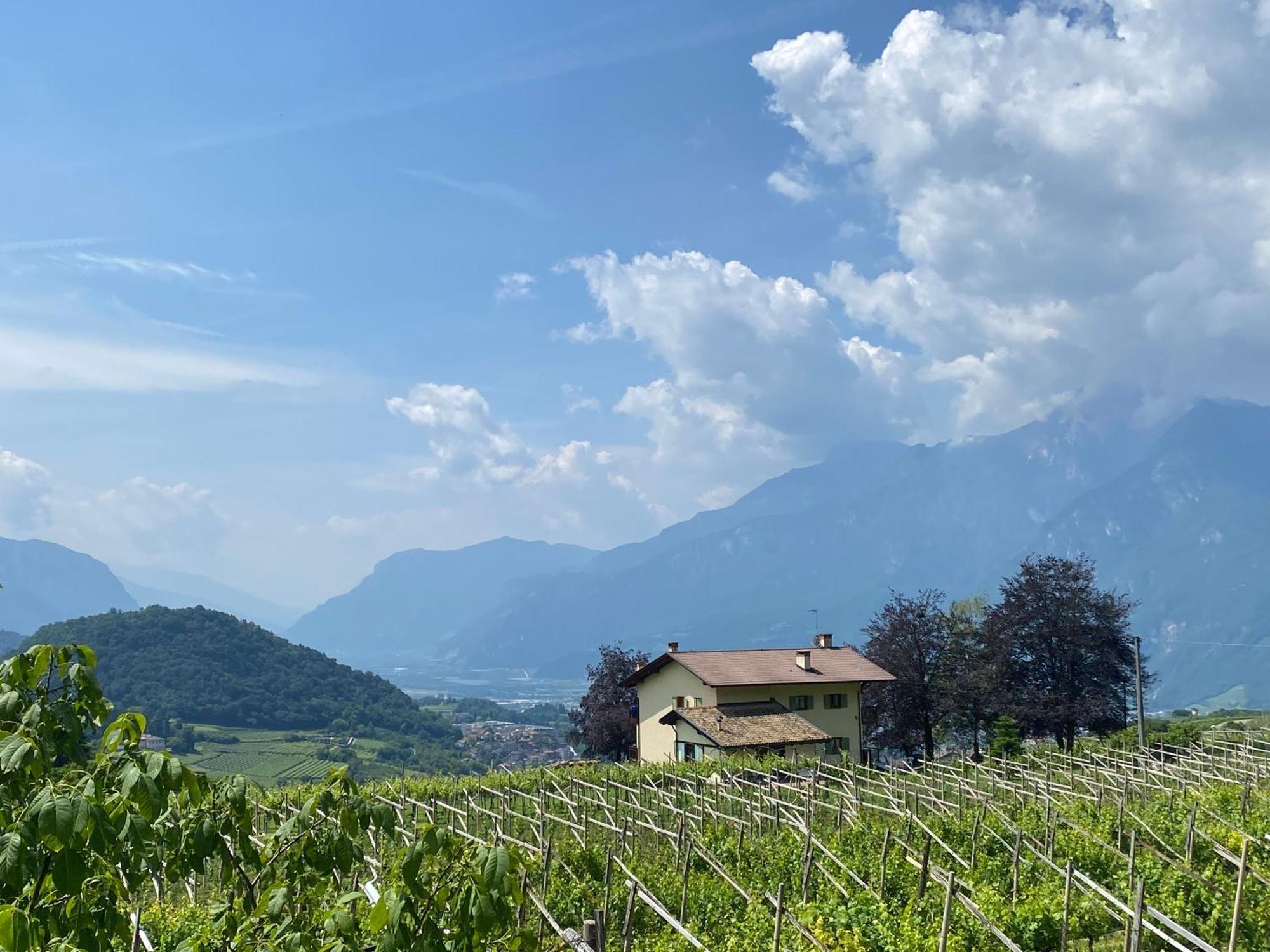 B&B Marina “La Casa in Collina” Trento Esterno foto